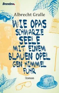 Albrecht Gralle Wie Opas schwarze Seele mit einem blauen Opel gen Himmel fuhr обложка книги