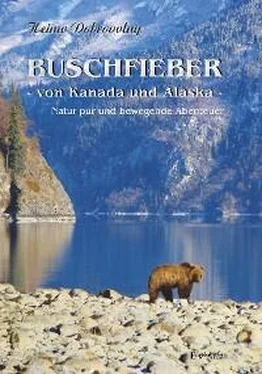 Heimo Dobrovolny Buschfieber - von Kanada und Alaska обложка книги
