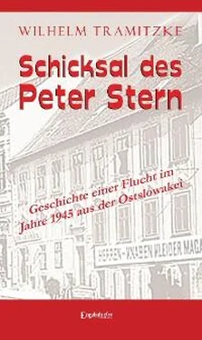Wilhelm Tramitzke Schicksal des Peter Stern обложка книги