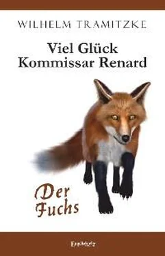 Wilhelm Tramitzke Viel Glück Kommissar Renard обложка книги