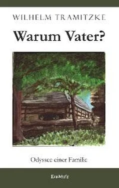 Wilhelm Tramitzke Warum Vater? обложка книги