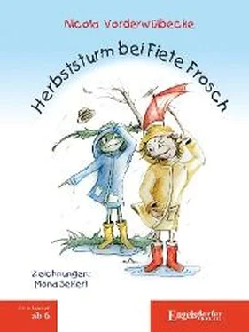 Nicola Vorderwülbecke Herbststurm bei Fiete Frosch обложка книги