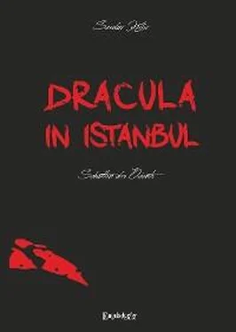 Serdar Kilic Dracula in Istanbul обложка книги