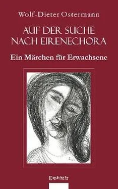 Wolf-Dieter Ostermann Auf der Suche nach Eirenechora обложка книги