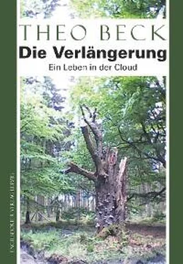 Theo Beck Die Verlängerung обложка книги