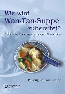 Phuong Chi Van Wie wird Wan-Tan-Suppe zubereitet? обложка книги
