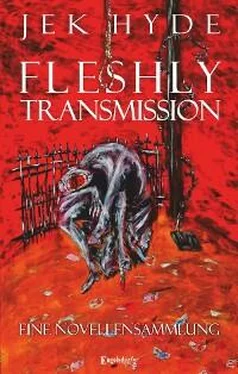 Jek Hyde Fleshly Transmission обложка книги