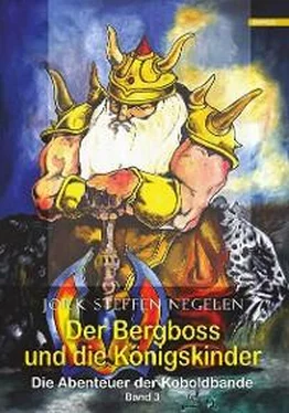 Jork Steffen Negelen Der Bergboss und die Königskinder: Die Abenteuer der Koboldbande (Band 3) обложка книги