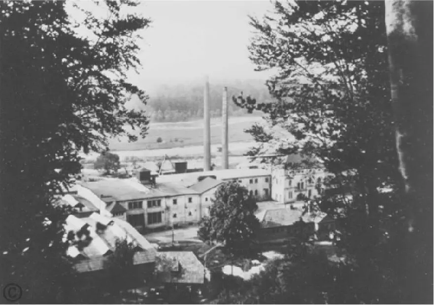 Gebäude der BorviskKunstseiden AG 1936 StadtA Herzberg Das durch - фото 8