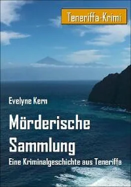 Evelyne Kern Mörderische Sammlung обложка книги