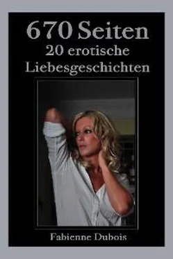 Fabienne Dubois 670 Seiten - 20 erotische Liebesgeschichten обложка книги
