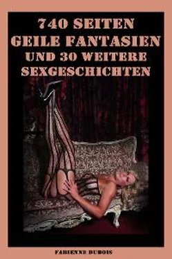 Fabienne Dubois 740 Seiten - Geile Fantasien und 30 weitere Sexgeschichten обложка книги