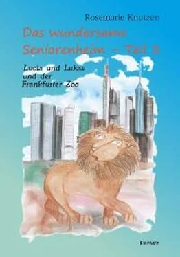 Rosemarie Knutzen Das wundersame Seniorenheim - Teil III: Lucia und Lukas und der Frankfurter Zoo обложка книги