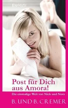 Birgit Cremer Post für Dich aus Amora! обложка книги