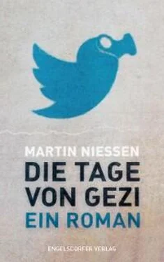 Martin Niessen Die Tage von Gezi обложка книги