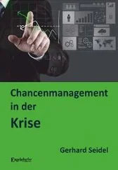 Gerhard Seidel - Chancenmanagement in der Krise