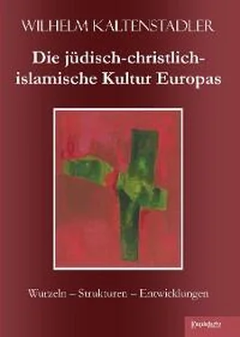 Wilhelm Kaltenstadler Die jüdisch-christlich-islamische Kultur Europas обложка книги