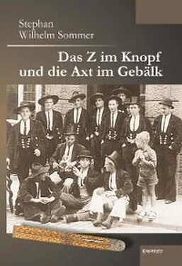 Stephan Wilhelm Sommer Das Z im Knopf und die Axt im Gebälk обложка книги