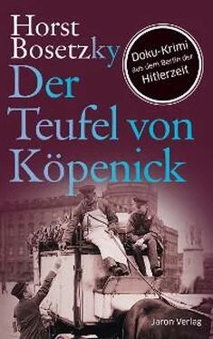 Horst Bosetzky Der Teufel von Köpenick обложка книги