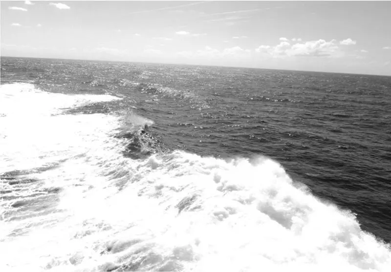 Wir haben Windstärke 4 bis 5 und das Schiff schaukelt mehr oder weniger arg vor - фото 11