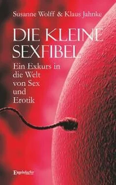 Susanne Wolff Die kleine Sexfibel обложка книги