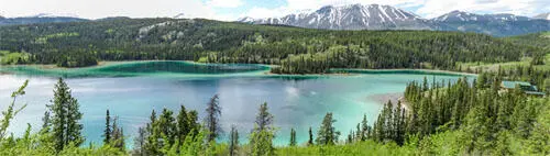 Als Perle des Yukon wird der Emerald Lake am Klondike Highway gewürdigt - фото 51