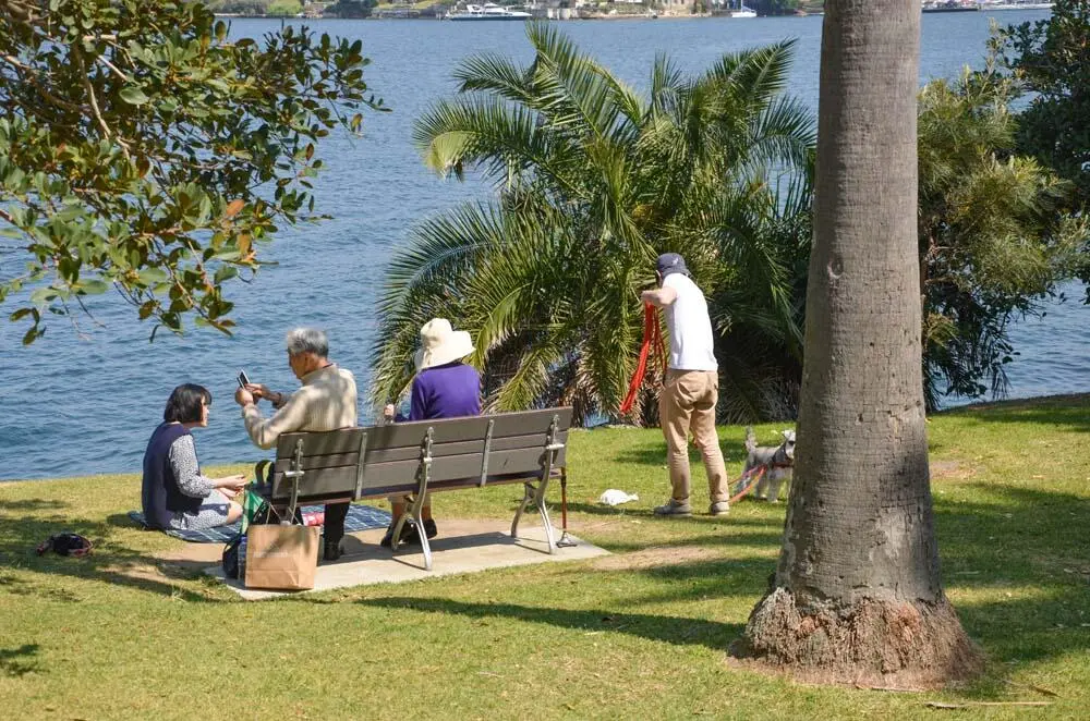 DPicknick in Cremorne Point Direkt an der Spitze der Halbinsel und ganz in der - фото 19