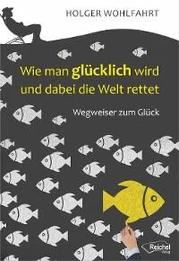 Holger Dr. phil. Wohlfahrt Wie man glücklich wird und dabei die Welt rettet обложка книги