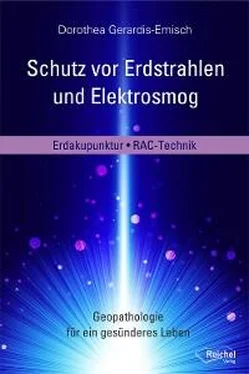 Dorothea Gerardis-Emisch Schutz vor Erdstrahlen und Elektrosmog обложка книги