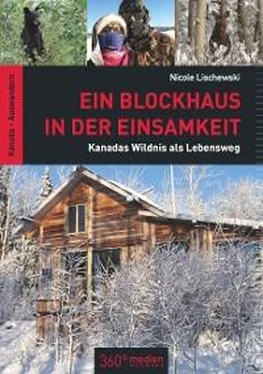 Nicole Lischewski Ein Blockhaus in der Einsamkeit обложка книги