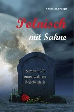 Christiane Zwengel Polnisch mit Sahne обложка книги