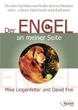 David Frei Der Engel an meiner Seite обложка книги