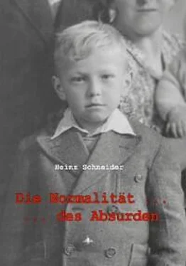 Heinz Schneider Die Normalität des Absurden обложка книги