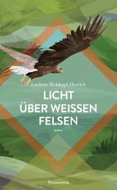 Liselotte Welskopf-Henrich Licht über weißen Felsen обложка книги