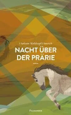 Liselotte Welskopf-Henrich Nacht über der Prärie обложка книги