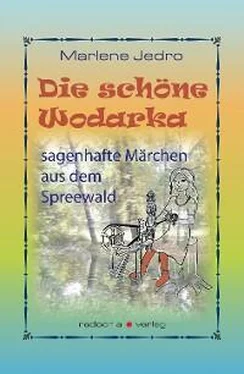 Marlene Jedro Die schöne Wodarka обложка книги