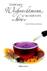 Susanne Rüster - Lieber guter Weihnachtsmann, schau mich nicht so böse an
