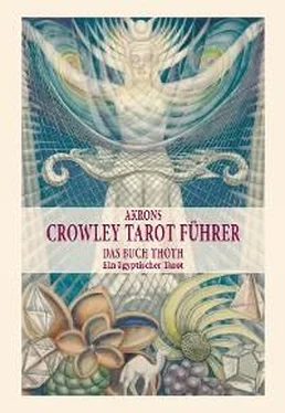 Akron Frey Akrons Crowley Tarot Führer обложка книги