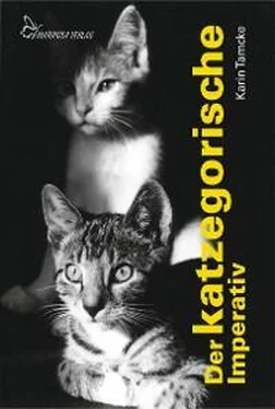 Karin Tamcke Der katzegorische Imperativ обложка книги