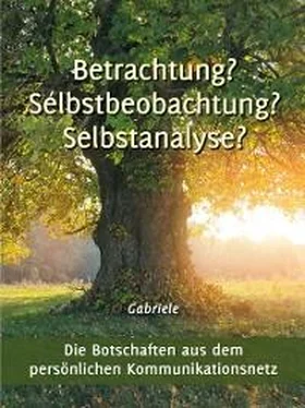 Gabriele Betrachtung? Selbstbeobachtung? Selbstanalyse? обложка книги