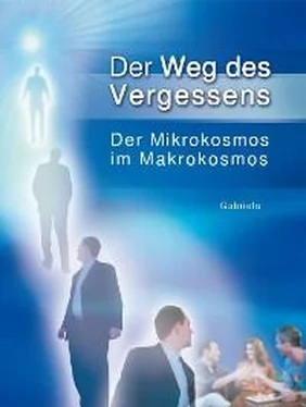 Gabriele Der Weg des Vergessens обложка книги