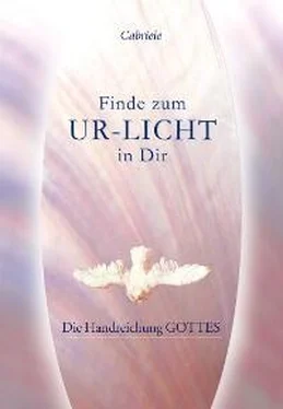 Gabriele Finde zum UR-LICHT in Dir обложка книги