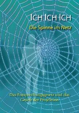 Gabriele Ich. Ich. Ich. Die Spinne im Netz обложка книги