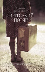 Крістіна Клайн - Сирітський потяг