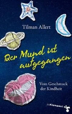 Tilman Allert Der Mund ist aufgegangen обложка книги
