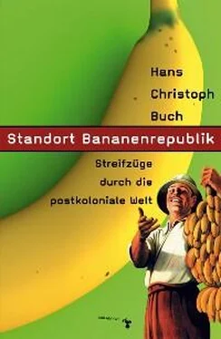 Hans Christoph Buch Standort Bananenrepublik обложка книги
