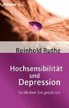 Reinhold Ruthe Hochsensibilität und Depression обложка книги