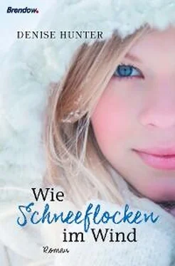 Denise Hunter Wie Schneeflocken im Wind обложка книги