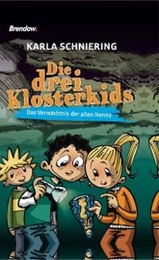 Karla Schniering Die drei Klosterkids обложка книги