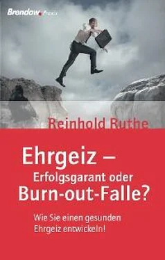 Reinhold Ruthe Ehrgeiz - Erfolgsgarant oder Burnout-Falle? обложка книги